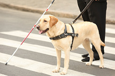 Wie denken Sie über Nichtgläubige?