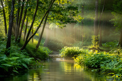 Ströme lebendigen Wassers Lebenswasser